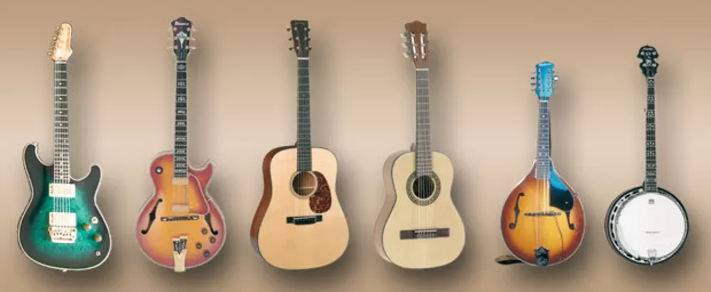 Interfaz de Chris Hein Guitars
