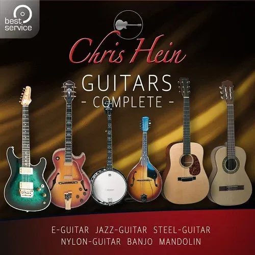 Controles de Chris Hein Guitars