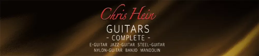 best-service-chris-hein-guitars