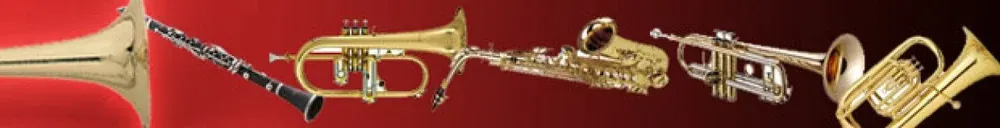 Interfaz de Chris Hein Horns Pro Complete