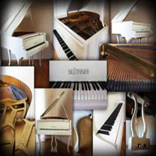 best-service-galaxy-ii-german-baby-grand