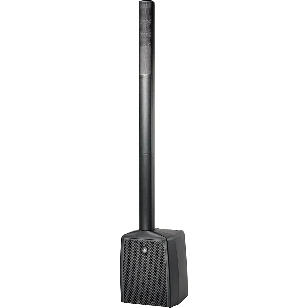 Parlantes profesionales PA