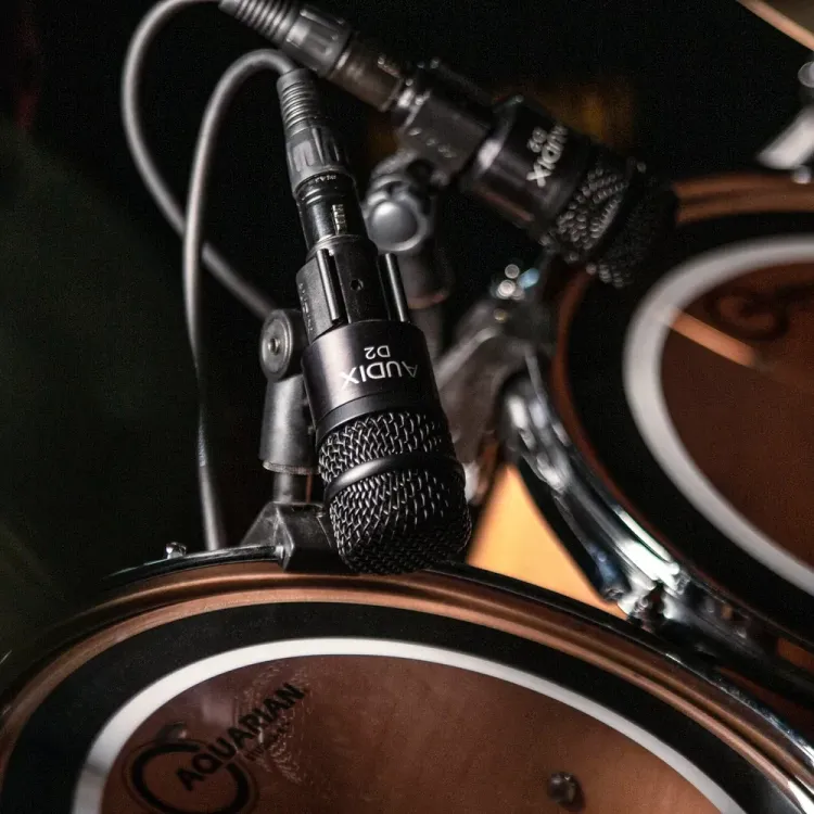 Audix D2 – Hecho para instrumentos percusivos