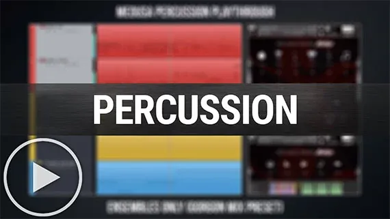 Boutique Drums Medusa de Musical Sampling