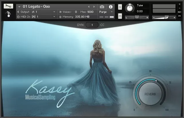 Kasey de Musical Sampling en la interfaz de Kontakt