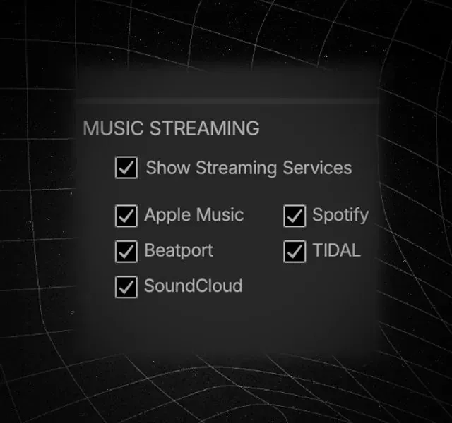 Menu Setup de Serato DJ 5.0 con las casillas para activar los servicios de streaming